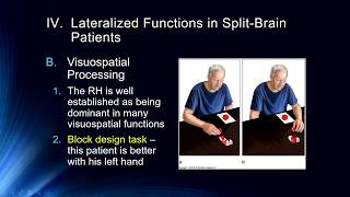 Lecture #19 Hemispheric Specialization: Split-Brain Procedures