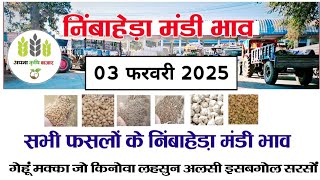 आज 03 फरवरी 2025 के सभी फसलों के निंबाहेड़ा मंडी भाव|Nimbahera mandi bhav today 03 February 2025