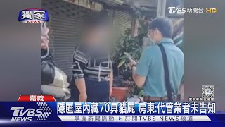 #獨家 假愛媽被捕人設崩壞! 包租代管隱匿屋內藏70具貓屍｜TVBS新聞 @TVBSNEWS01