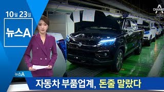 자동차 부품업계, 돈줄 말랐다…3조 자금 지원 요청 | 뉴스A