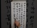 어리석은 자가~ 붓글씨 캘리