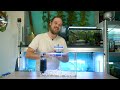 un aquarium pour des crevettes tuto neocaridina davidi trucs u0026 astuces ani mood