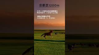 【競馬豆知識】京都競馬場芝1200mコースの特徴を解説！ #競馬 #京都競馬場 #競馬予想 #血統 #傾向 #血統予想 #傾向 #馬場傾向