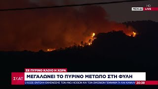 Μεγαλώνει το πύρινο μέτωπο στη Φυλή | Βραδινό δελτίο | 22/08/2023