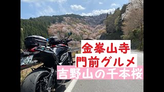 KATANAで行く！吉野山の千本桜　参道グルメ　桜吹雪