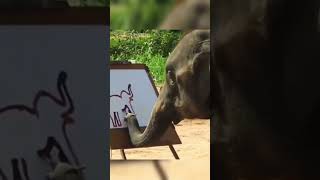 Can the #elephant #draw? #Friday #fridayfun #fridayfinds  #drawing  #painting #artist #animalart