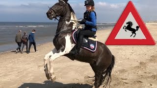 STRANDRIT MET STEIGEREND PAARD | GOPRO LEKKER CROSSEN | Paardrijden met Plezier