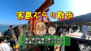 【宮島ぶらり散歩】仮設歩道から大鳥居を観る！