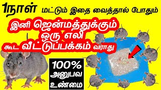 எலி தொல்லையா அனுபவ உண்மை ஒருமுறை இதை வைங்க உங்கள் வீட்டு பக்கம் எலி வரவே வராது | eli thollai neenga