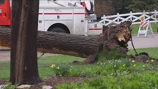 Crews work to clear downed tree limbs in Wauwatosa