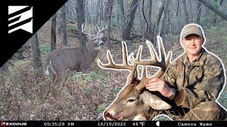 When Bucks will be MOST Active in the Daylight!  Dr. Bronson Strickland