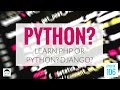 Should You Learn PHP or Python? Or Django? Should You Learn PHP or Python? Or Django?