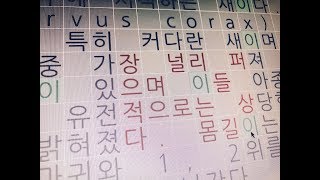 Korean Word Texts in 2d Grid / Processing / 20171028