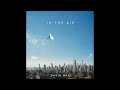 DAVID BAS- IN THE AIR