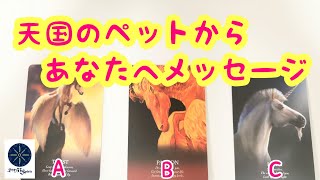 天国のペットからあなたへメッセージ🌈タロット＆オラクルカードリーディング💖