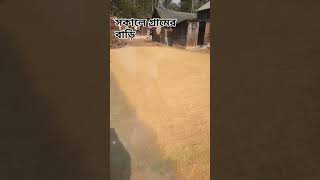 সকালে গ্রামের বাড়ি #shortvideo