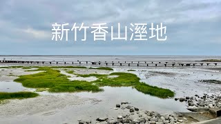 新竹香山溼地賞蟹