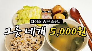 으로 야무진 자취생 밥상 차리기 🍚ㅣ양배추전ㅣ꽈리고추계란장조림ㅣ버섯밥ㅣ미소큐브된장국ㅣ다이소추천템ㅣ다이어트