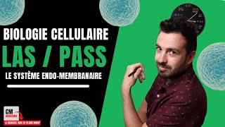 LE SYSTEME ENDOMEMBRANAIRE : 🧫 Réticulum Endoplasmique, Appareil de Golgi, Lysosome, Endosome...