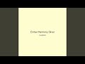 Ember Harmony Silver