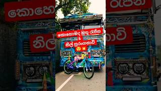 කොහොමද ඒ දෙකේ පෙනුම🤩😲💥#viralvideo #bus #trending #1millon #automobile