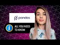 Basic Guide to Pandas! Tricks, Shortcuts, Must Know Commands! Python for Beginners