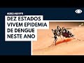 Dez estados vivem epidemia de dengue neste ano