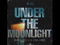 under the moonlight feat. shiny pain b.i.g. john u0026 jumpy