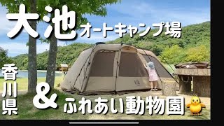 【四国香川】大池オートキャンプ場〜ogawaオガワfacilファシルでファミリーキャンプ〜【子供と遊ぶ】【3人家族】