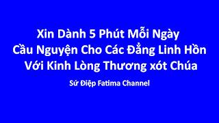 Xin Dành 5 Phút Mỗi Ngày  Cầu Nguyện Cho Các Đẳng Linh Hồn  Với Kinh Lòng Thương xót Chúa