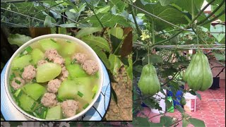 សម្លរស្ងោរផ្លែ ស៊ូសាច់ជ្រូក/ Khmer food