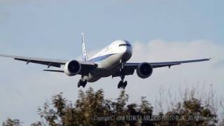 【CrossWind Landing】 ANA B777-300ER(JA733A) @NARITA RWY34R RAJJ 成田空港　さくらの山