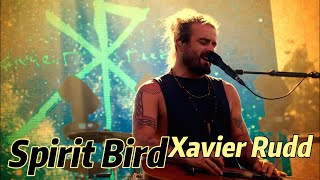 Lirik Lagu | Spirit Bird - XAVIER RUDD | Song With Lyrics