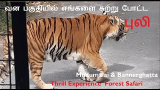 அடர்ந்த வன பகுதியில் எங்களை சுற்று போட்ட புலி |  Bannerghatta \u0026 Mudumalai Forest Safari Diaries