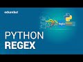 Python RegEx | Python Regular Expressions Tutorial |  Python Tutorial | Python Training | Edureka