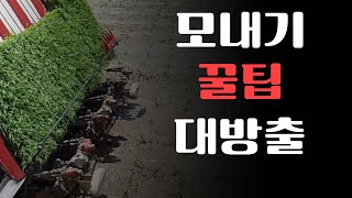 [귀농 스터디] 모내기할때 꼭 봐야할 꿀팁 대방출