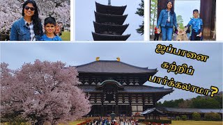 ஜப்பானில் மான் 😻 நண்பர்களுடன் ஒரு நாள் 😎| Japan travel vlog in tamil | #japantamilvlog | #dimltamil