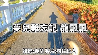 花蓮U_日常美景(夢兒難忘記_龍飄飄)_20240717