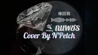 锦绣未央 OST 缘因我 - 金瀚 Cover By.N'Petch