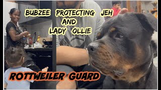 Powerful Rottweiler Guard Dog Protecting Kids | Bubzee Guards Lady Ollie And Jeh | Zoey Playtime