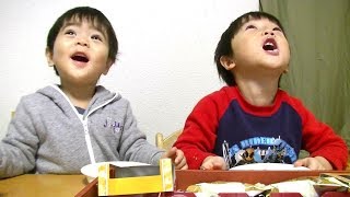 お菓子セットに大喜び　おやつの時間　　ひなごんとおいちゃん　　SunflowerTV