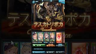 【グラブル】テスカトリポカ 古戦場HELL90  オート放置+軽量版リロ52秒