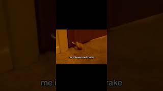 pov: drake leaked