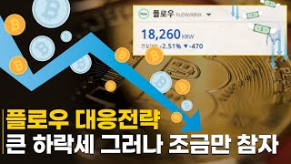 플로우 대응전략 | 코인투자 변선생