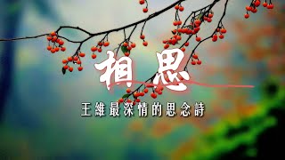 《相思》｜王維最深情的思念詩｜“紅豆生南國” 千古傳唱的經典名句｜後人最廣為吟誦的相思之作 無人能超越