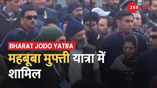 News@11: फिर शुरू हुई Rahul Gandhi की भारत जोड़ो यात्रा, महबूबा मुफ्ती हुई यात्रा में शामिल