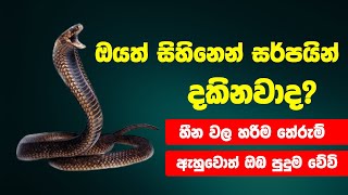 ඔයත් සිහිනෙන් සර්පයින් දකිනවාද? එම සිහින වල තේරුම් | Snake Dreams Meaning and Interpretation