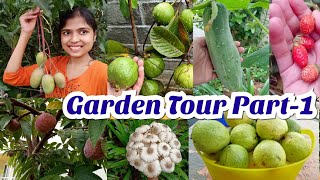 2021- June Garden tour part-1 | My home garden tour 🌱ನಮ್ ಮನೆ ಗಾರ್ಡನ್ ಹೇಗಿದೆ ನೋಡಿ |explore my garden