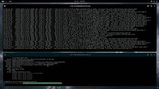 Real-Time DDoS Attack Demo (Demonstration Only)