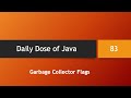 Daily Dose of Java -- Part 83: Garbage Collector Flags and 